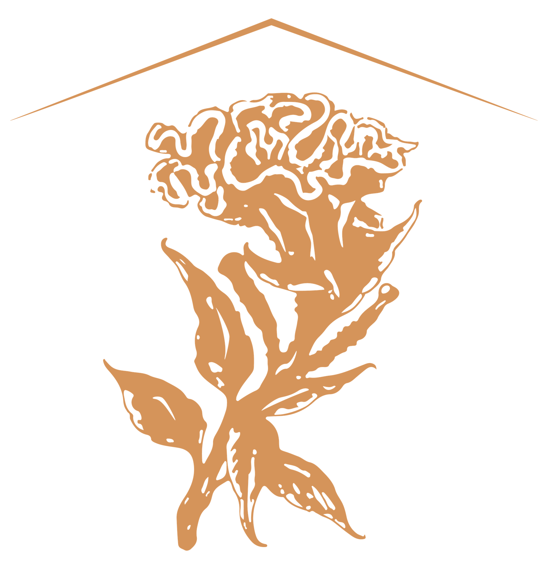celosiadeco